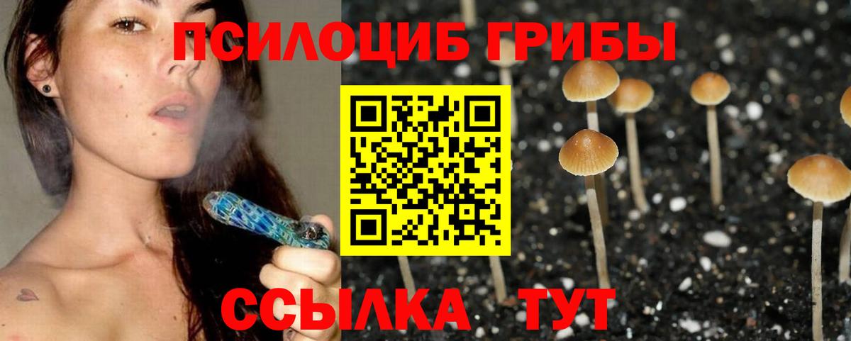 Богородицк  Галлюциногенные грибы Psilocybe  Вход с VPN  Галлюциногенные грибы Psilocybine cubensis 